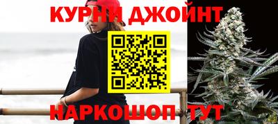 индика Славгород
