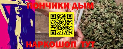 индика Славгород