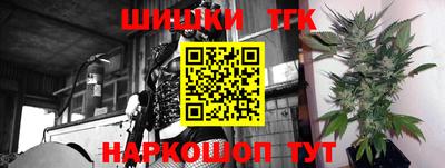 индика Славгород