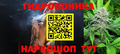 индика Славгород