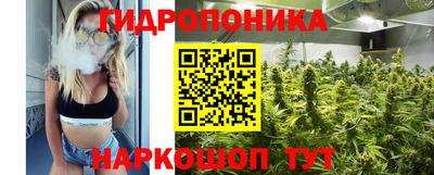 индика Славгород