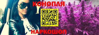 индика Славгород