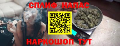 индика Славгород