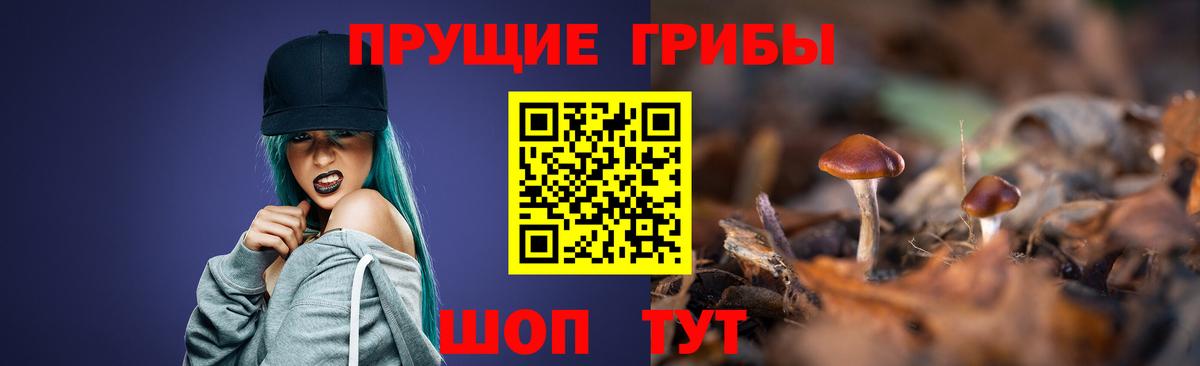 Псилоцибиновые грибы Psilocybine cubensis Южноуральск